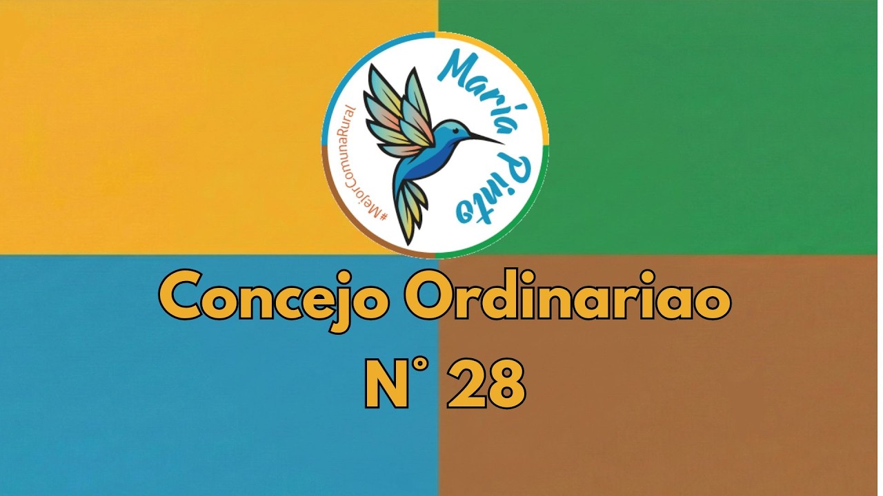 CONCEJO SESION ORDINARIA N° 28 11/06/2026