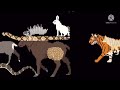 MOST POPULAR VIDEO An Animal Stampede For TheKidsPictureShow