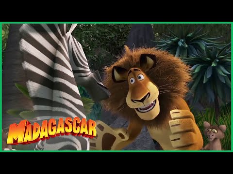 Capa de DreamWorks Madagascar em Português | Alex Salva o Dia | Desenhos Animados