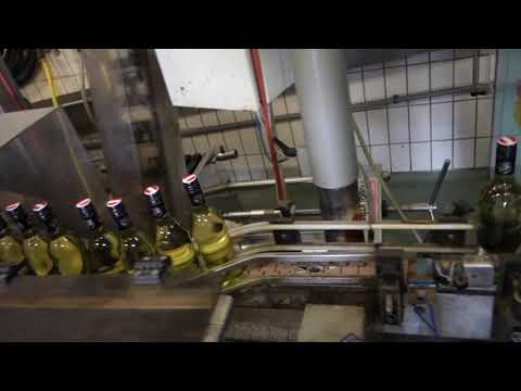 Skoff Original Junker 2018