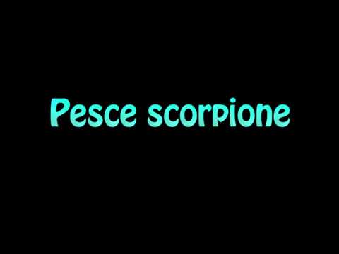 Learn How To Pronounce Pesce scorpione