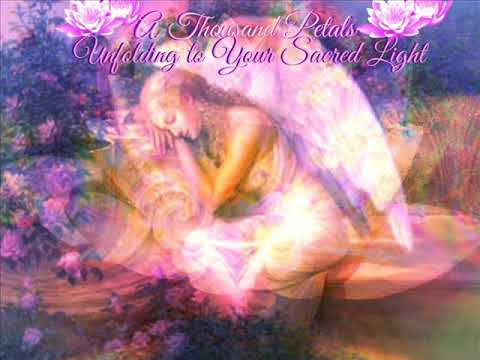 pei o se tino e palapala