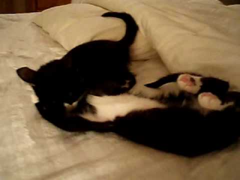 Makai and Nalu fight sequence 2 10-09