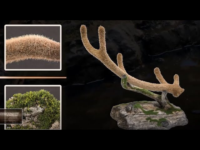 Introduction to Nature’s Fiber Video
