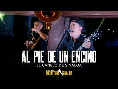 Al Pie De Un Encino (En Vivo) - El Canelo De Sinaloa