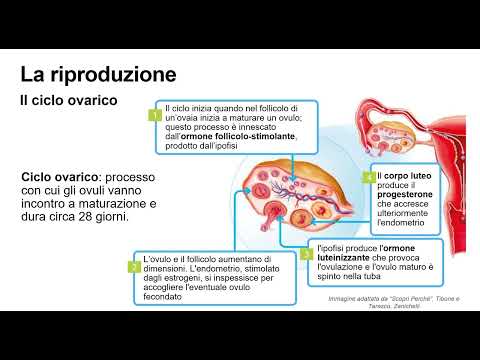 La Riproduzione Sessuata