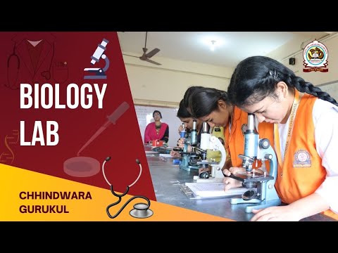 Our Biology Lab