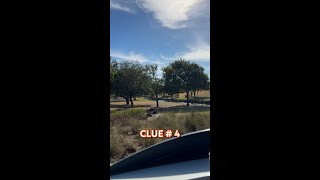 The Medley Hunt Clue # 4