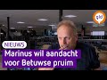 Betuwse telers werken aan de comeback van de pruim