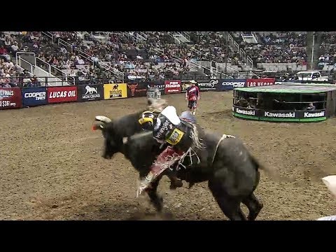 WRECK: Stars and Stripes Leaves Mike Lee Seeing Stars | 2017