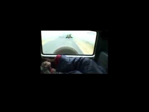 Recorrido por las mejores cintas del cine de la India