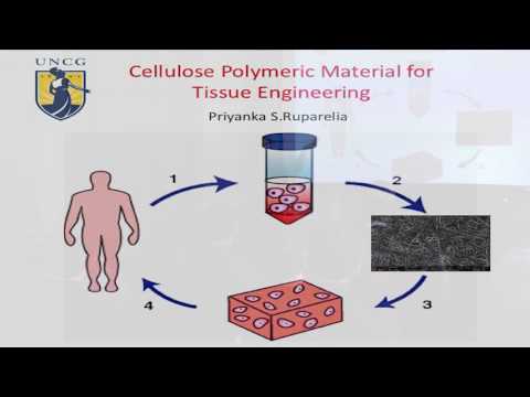 The 2016 Three-Minute Thesis Competition