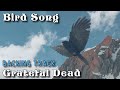 Bird Song » Backing Track » Grateful Dead