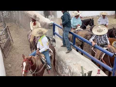 LA CALERA DE SAN MIGUEL, VALPARAÍSO:  EL COLEADERO DE ANIVERSARIO DE EJIDO 