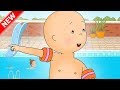 NEW CAILLOU LEARNS TO SWIM Funny Animated Cartoon For Kids Cartoon Caillou L Cartoon Movie