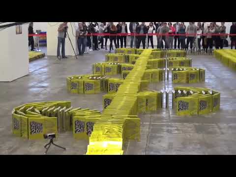 Book Dominoes - Guinness World Records 2016-(Reverse Edition)