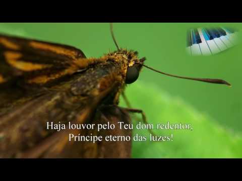 007 -  Sejas Louvado - 4K