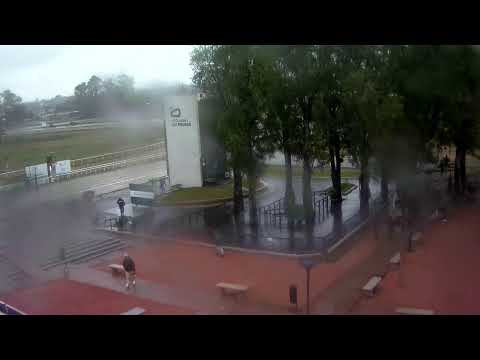 HIPODROMO LAS PIEDRAS 16 DE JULIO 2022  -  WWW.MARONASONLINE.COM