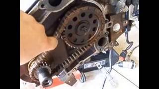 Ford 3.0 Vulcan OHV Timing Chain Stretch