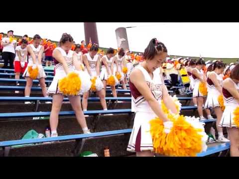経営学科 2016作新学院高等学校夏の甲子園予選栃木大会 甲子園出場への軌跡