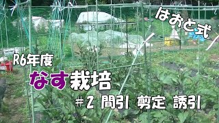 なす作り　＃2間引き、剪定、誘引編