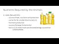 Introduction To Animal Nutrition