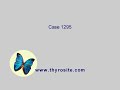 Case 1295