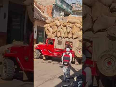 impresionante viaje de café el que trajo éste conductor de toyota en Rovira Tolima #campo #café