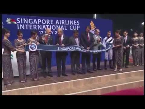 花月春風 (N195) DAN EXCEL 貝湯美 新航國際盃 17/05/2015