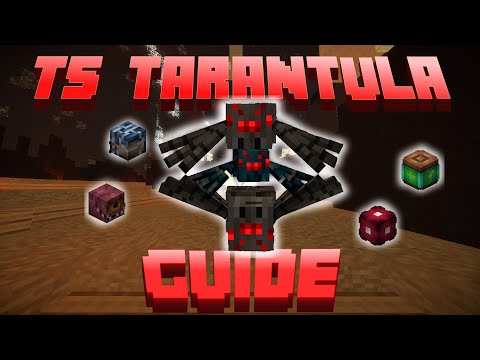 t5 tarantula guide | hypixel skyblock