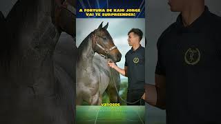 a vida de LUXO de KAIO JORGE!  #viral #futebol #kaiojorge #cruzeiro #football #fyp #status #money