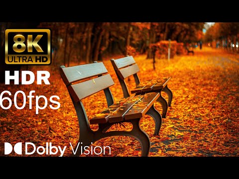 The Most Beautiful Flowers Collection 8K ULTRA HD / 8K TV