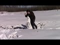Goodbye Snowman