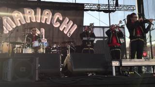 6 - 48 Roses - Mariachi El Bronx (Live in Raleigh, NC - 6/17/15)