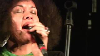 Born Under a Bad Sign - Peter Sprague Group Live!