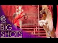 Bella Teaches Horse Circus Skills