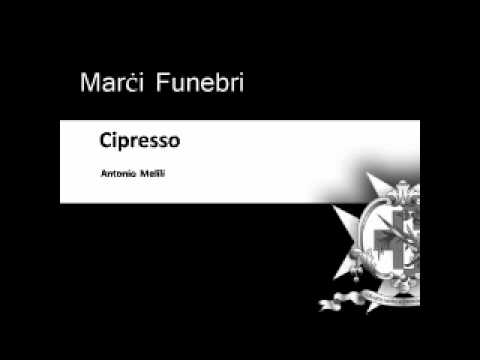 Cipresso
