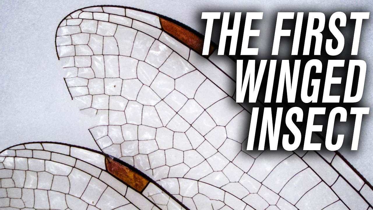 Dragonfly Facts That STUNNED Adam Savage