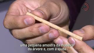 Miniatura do vídeo