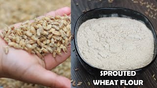 HOW TO MAKE SPROUTED WHEAT FLOUR| HOMEMADE SPROUTED WHEAT FLOUR  | Sowji