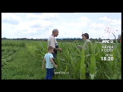 Nauka u selu: Znanjem do prinosa