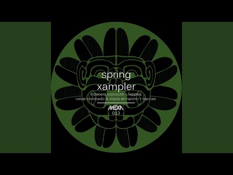 Trying (Original Mix)