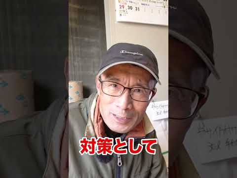 コーヒーかすが嫌いな昆虫は何ですか?忌避剤としてどのように使用しますか？  庭園