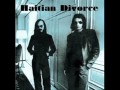 Steely Dan - Haitian Divorce