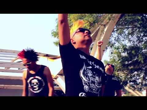 Excluded - SKUNX (Official)