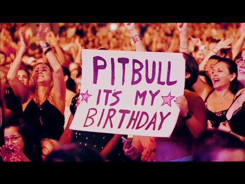 Pitbull x Play-N-Skillz - Party of a Lifetime (Visualizer)