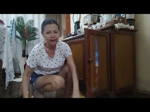 entrou baratas dentro meu armário tirando todas as vasilhas para limpeza