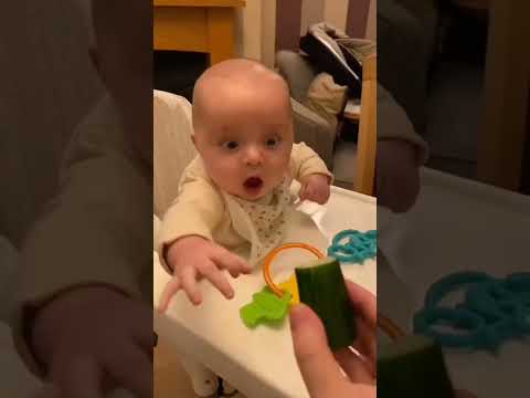 🍼🥒 Baby's First Food Adventure! Hashtags: #BabyFoodie #CucumberLove #BabyEats #FoodExploration