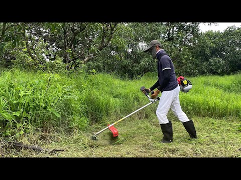 Grass cutting machine | How to start petrol brush cutter