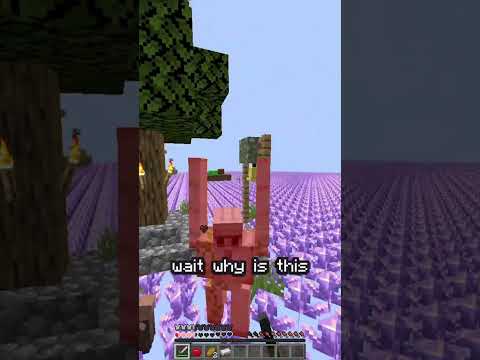 Entire World Turned to Amethyst in Minecraft?! #shocking
